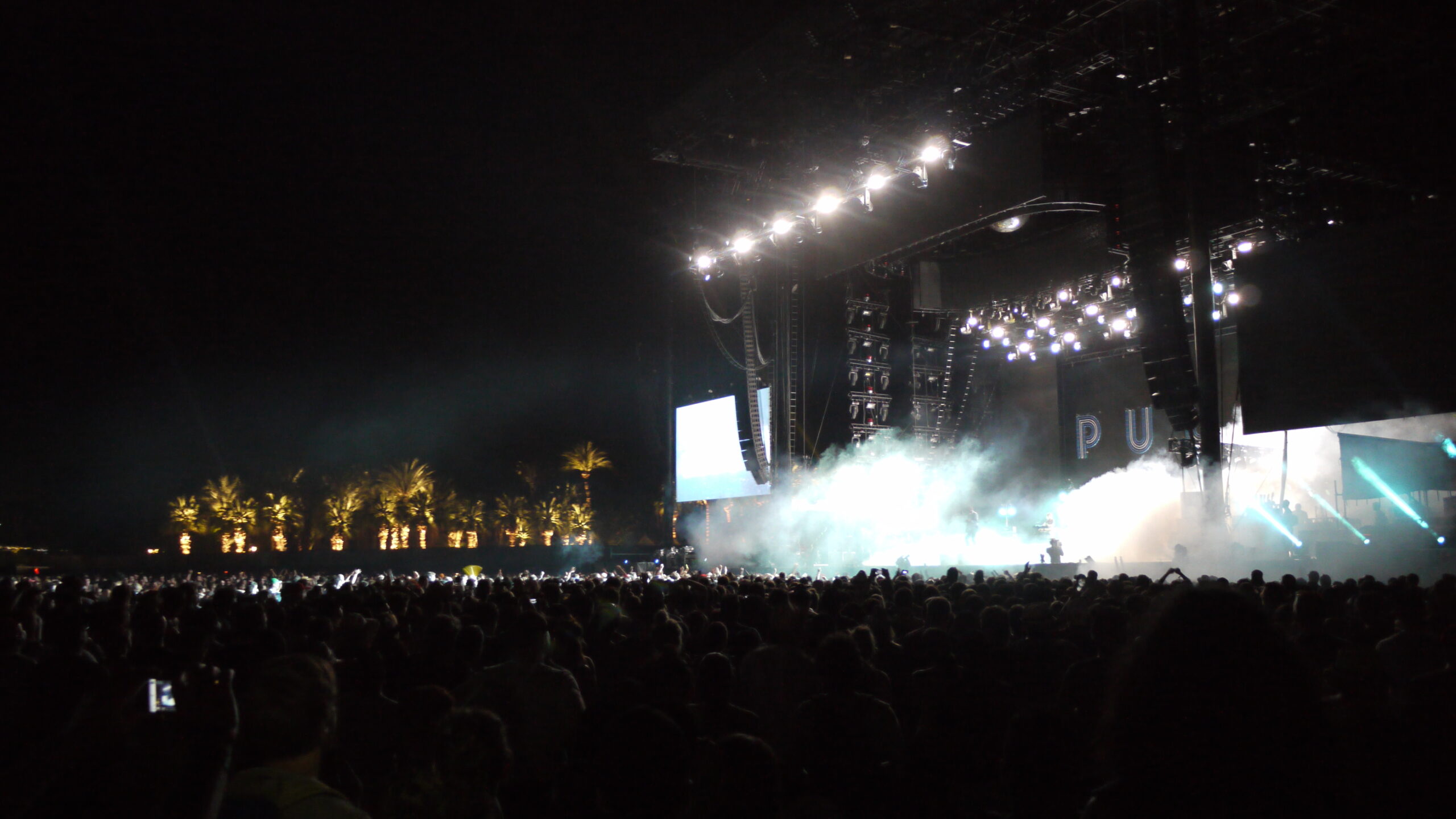 Festival crowd and palm trees at sunset