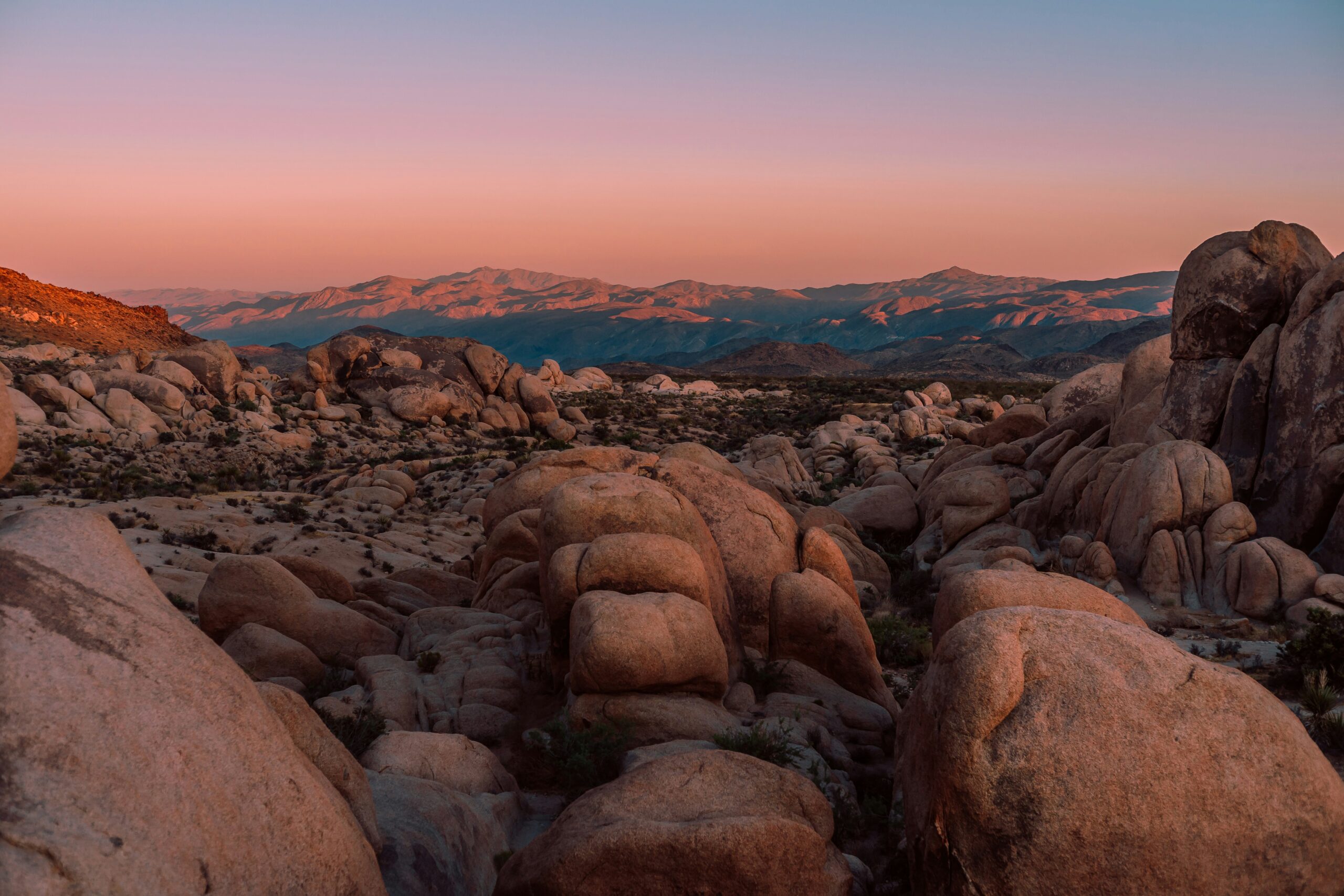 Joshua Tree boulders and yuccas