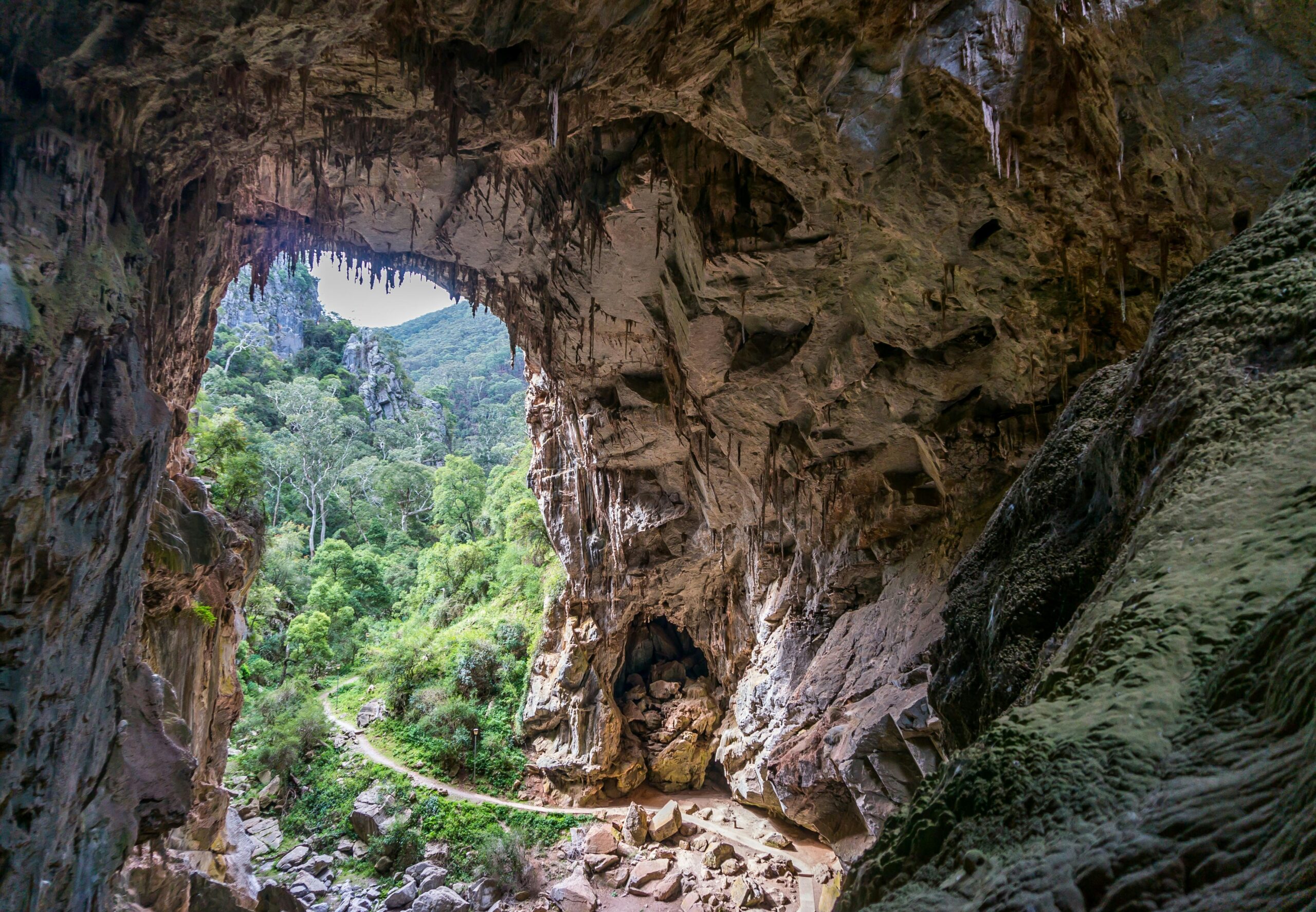 Jenolan Caves limestone formations