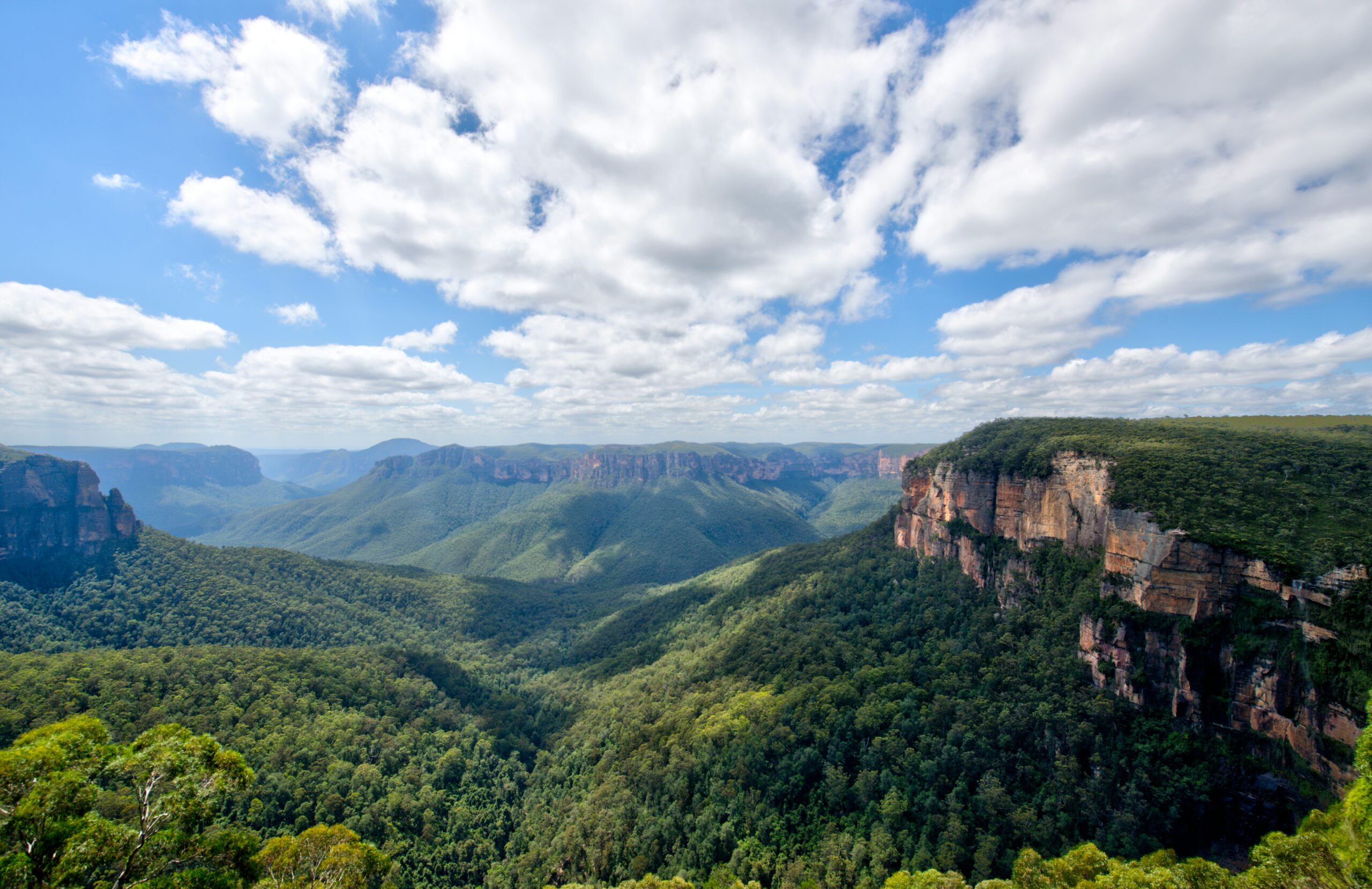 Blue Mountains cliffs and valleys