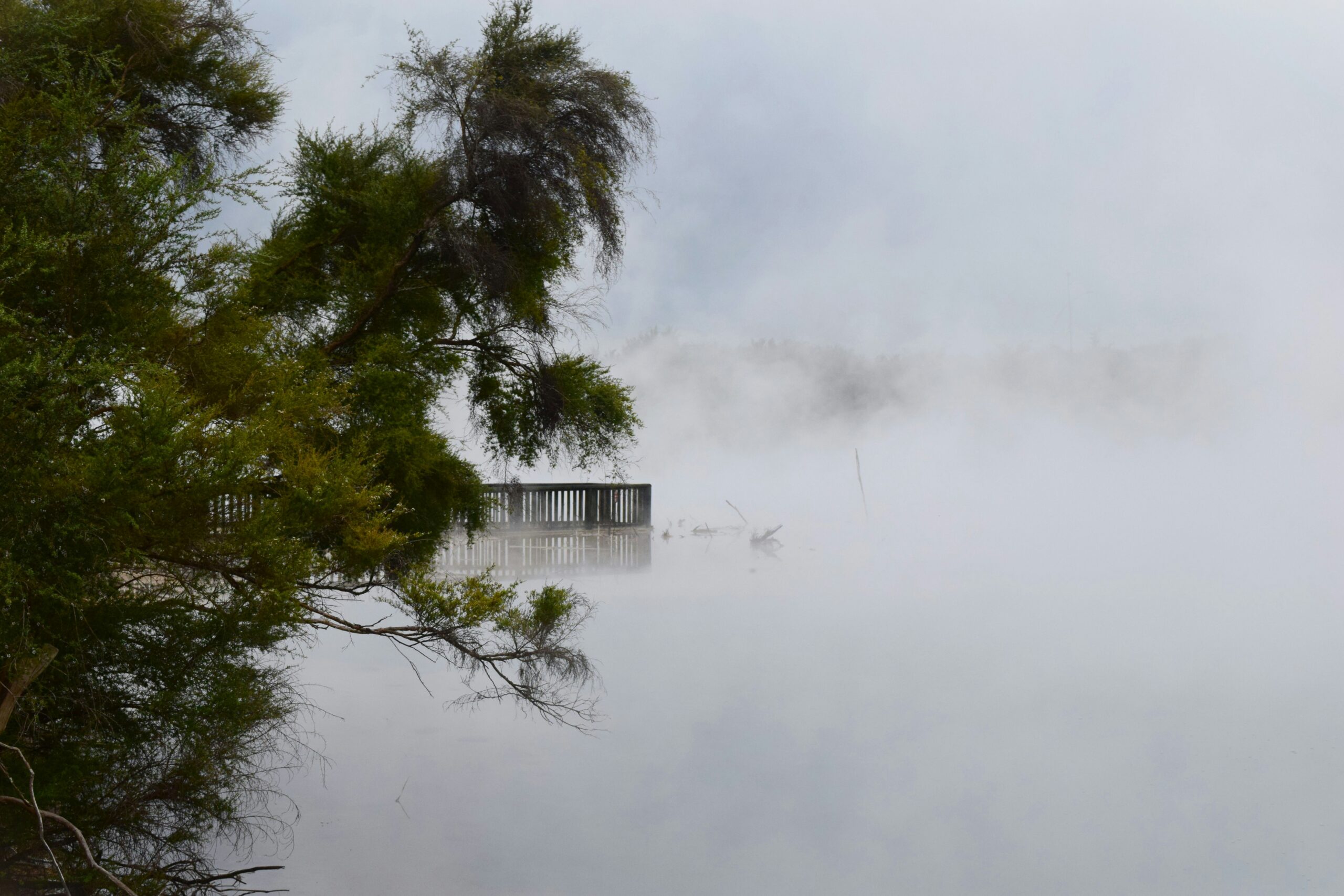 Rotorua hot pools and geysers