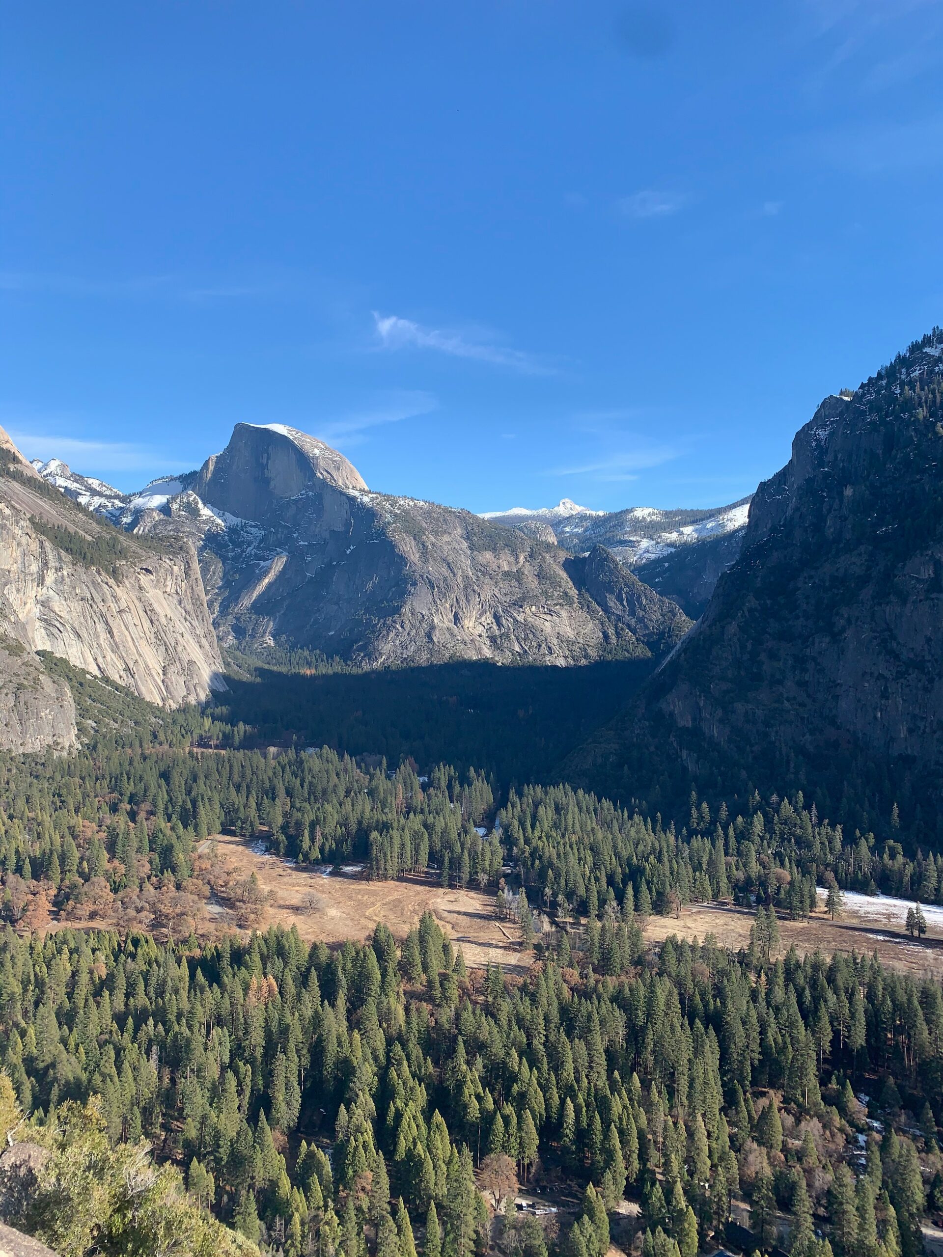 Yosemite high country meadows