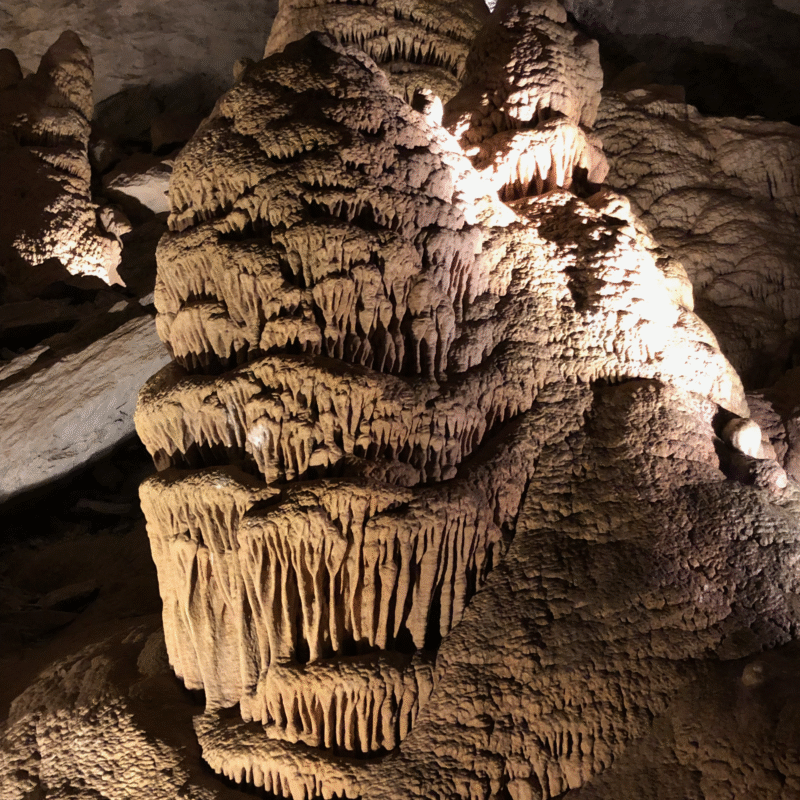 RL0919, CC BY-SA 4.0 , via Wikimedia Commons