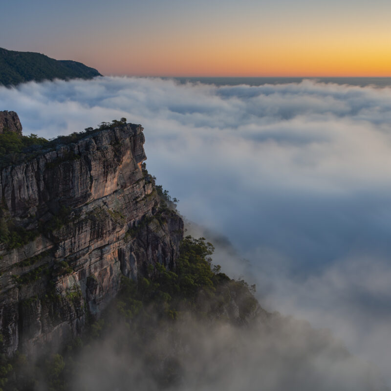 Joshua Tagicakibau, CC BY-SA 4.0 , via Wikimedia Commons