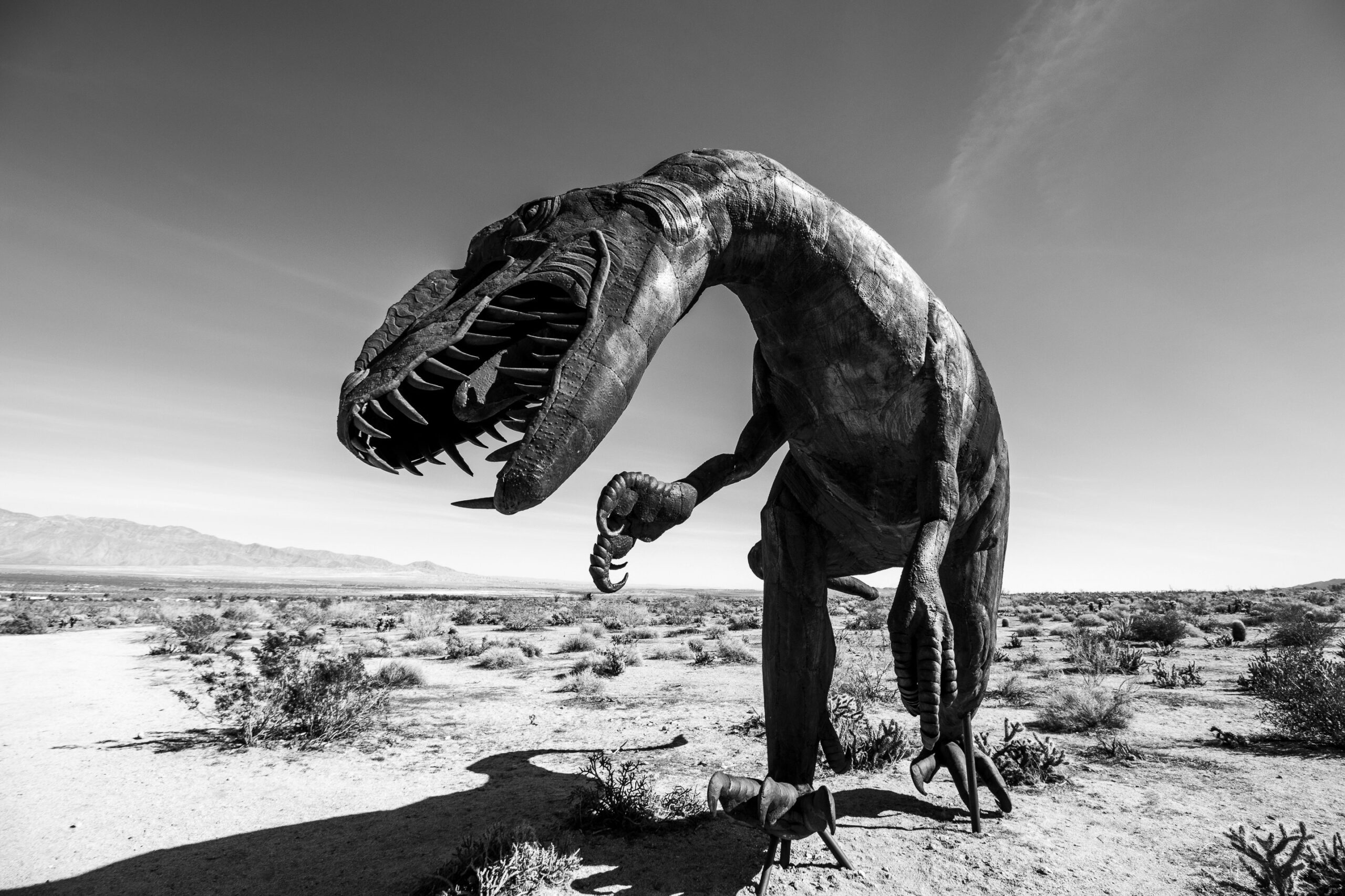 Anza-Borrego Desert State Park by Campervan