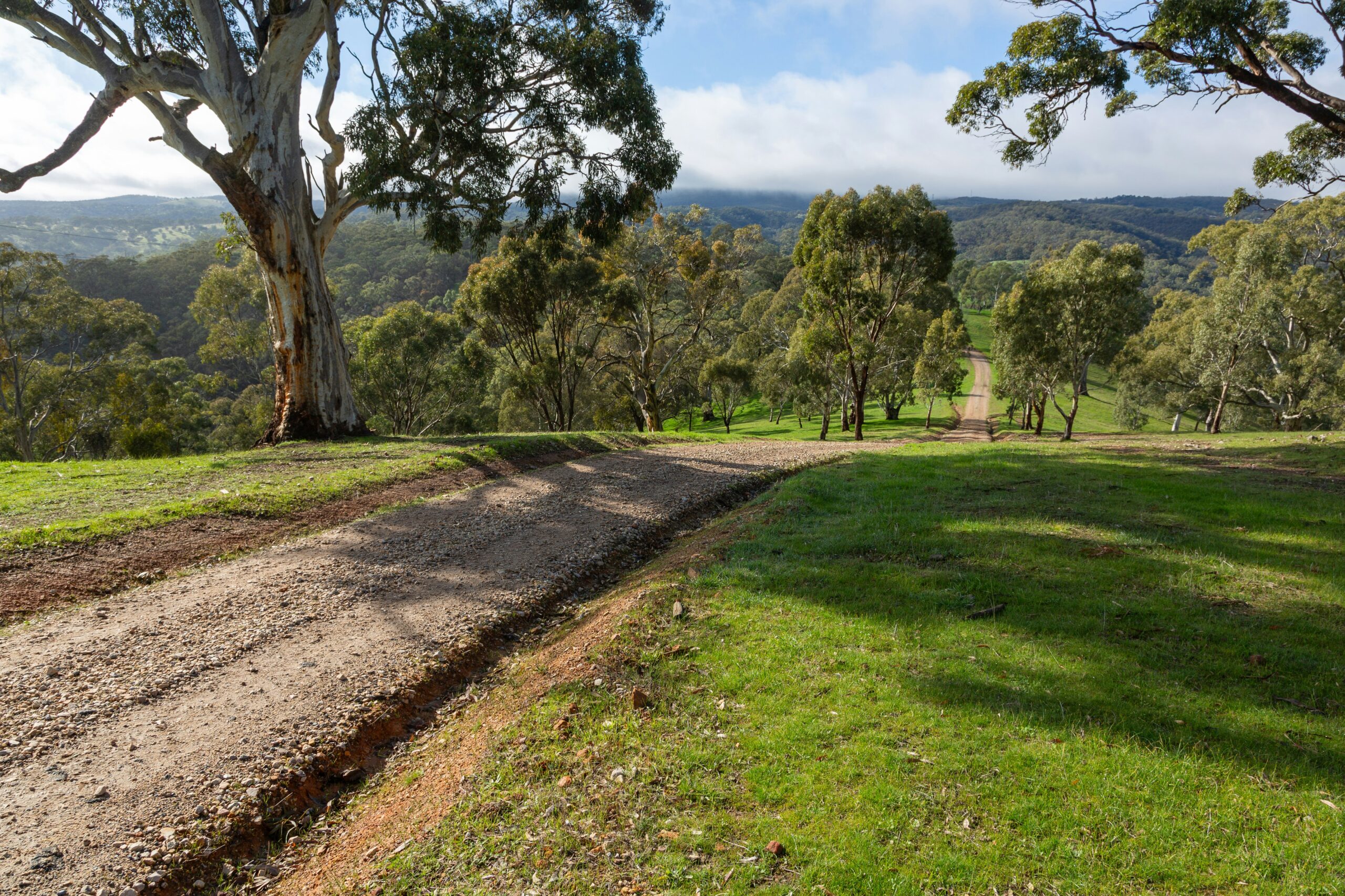 Adelaide Hills Roadtrip
